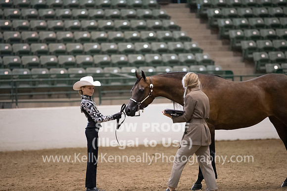 R319_MonAM_0295