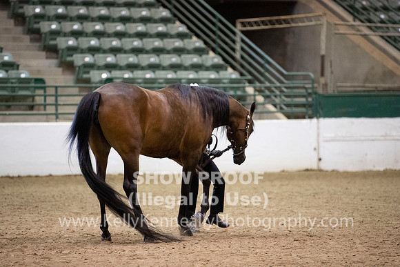 R319_MonAM_0297
