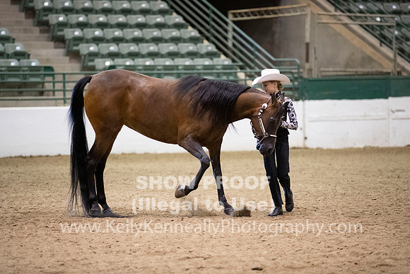 R319_MonAM_0298