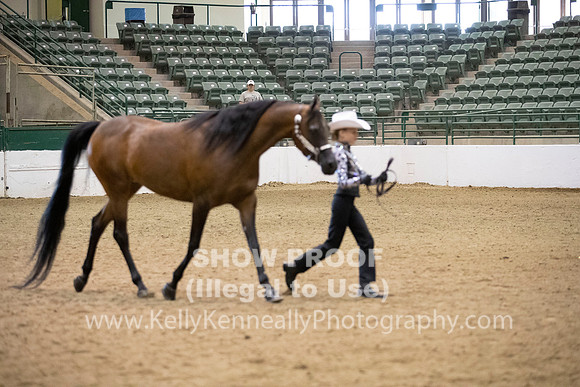 R319_MonAM_0302