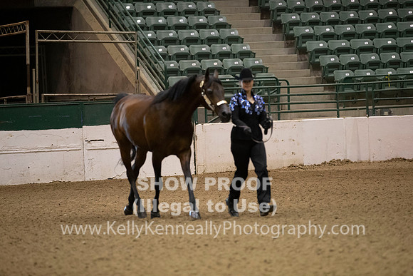 R319_MonAM_0036