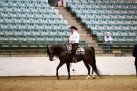 Class 90 HA/AA Western Pleasure Ladies & Gentlemen to ride