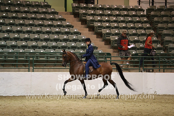 R319_TuesAM_3539