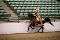 Class 64 Arabian Mounted Native Costume ATR