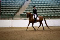 Class 65 HA/AA English Show Hack Open