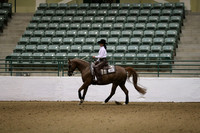 Class 80,81,82,84.193 Reining Classes