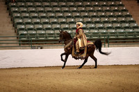 Class 101 Arabian Mounted Native Costume Open