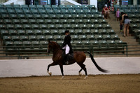 R319_B_TuesPM_4058