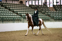R319_B_TuesPM_4111