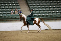 Class 104 HA/AA Ladies Side Saddle Open