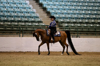 R319_B_TuesPM_4176