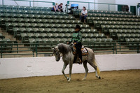 Class 106  HA/AA Western Pleasure Junior Horse 5 yrs & under