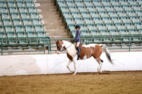 Class 108 HA/AA Hunter Pleasure JTR Select