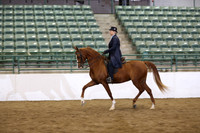 R319_B_TuesPM_4358