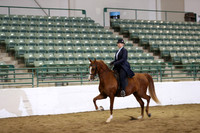 R319_B_TuesPM_4357