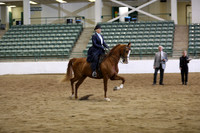 R319_B_TuesPM_4370