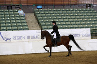 Class 111 Arabian English Show Hack Open