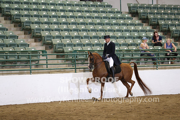 R319_B_TuesPM_4390