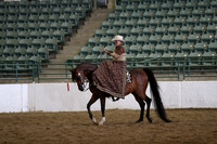 Class 113 Arabian Ladies Side Saddle Open