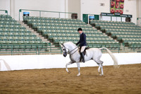 Class 115 Arabian Hunter Pleasure MAres & Stallions