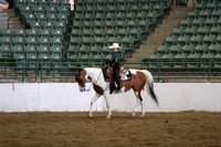 Class 116 HA/AA Western Pleasure JTR Select