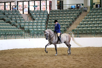Class 119 Arabian Hunter Pleasure Geldings