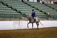 R319_B_TuesPM_4654