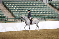 Class 196 Arabian Hunter Pleasure AATR Choice Elite