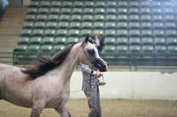 R319_MonAM_0366