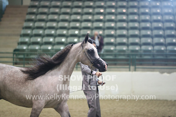 R319_MonAM_0366