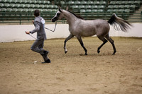 R319_MonAM_0367
