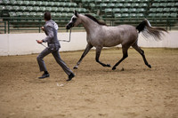 R319_MonAM_0368