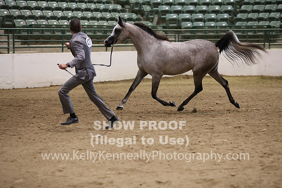 R319_MonAM_0368