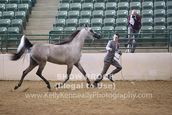 R319_MonAM_0361