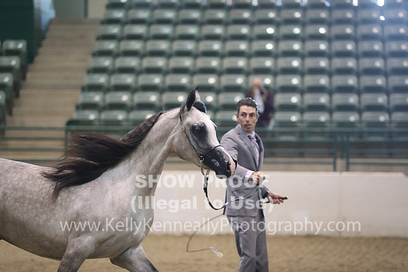 R319_MonAM_0365