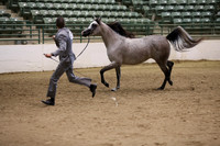 R319_MonAM_0370