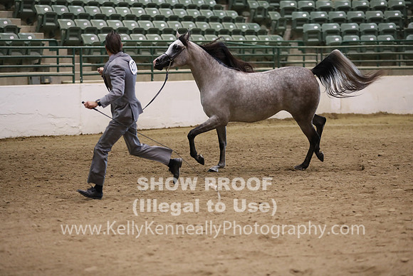 R319_MonAM_0370