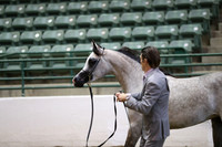 R319_MonAM_0373