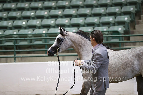 R319_MonAM_0373