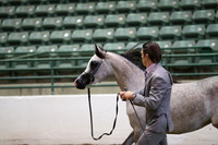 R319_MonAM_0374