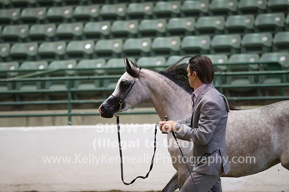 R319_MonAM_0374