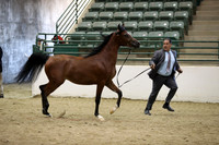 R319_MonAM_0377