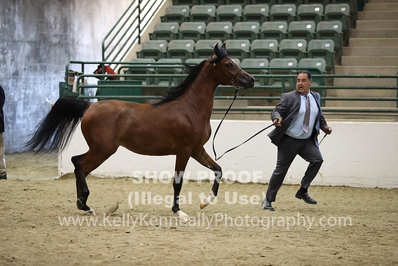 R319_MonAM_0377