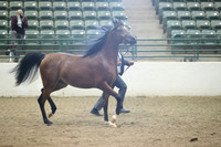 R319_MonAM_0382