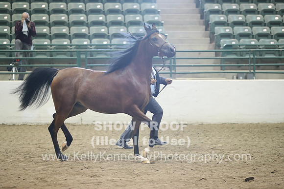 R319_MonAM_0382