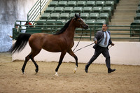 R319_MonAM_0378