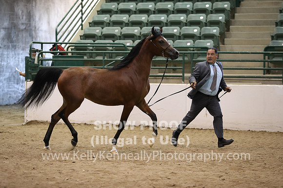 R319_MonAM_0378