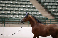 R319_MonAM_0383