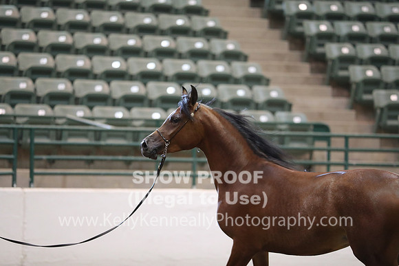 R319_MonAM_0383