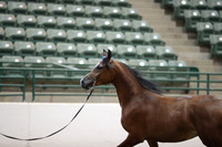 R319_MonAM_0384